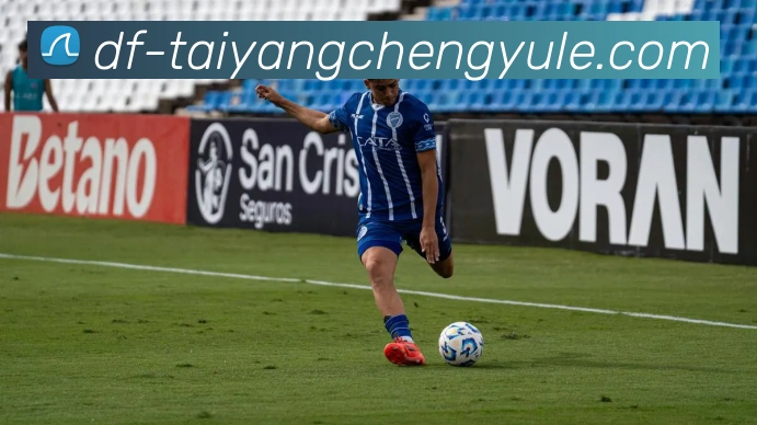 澳门太阳城娱乐平台生态图